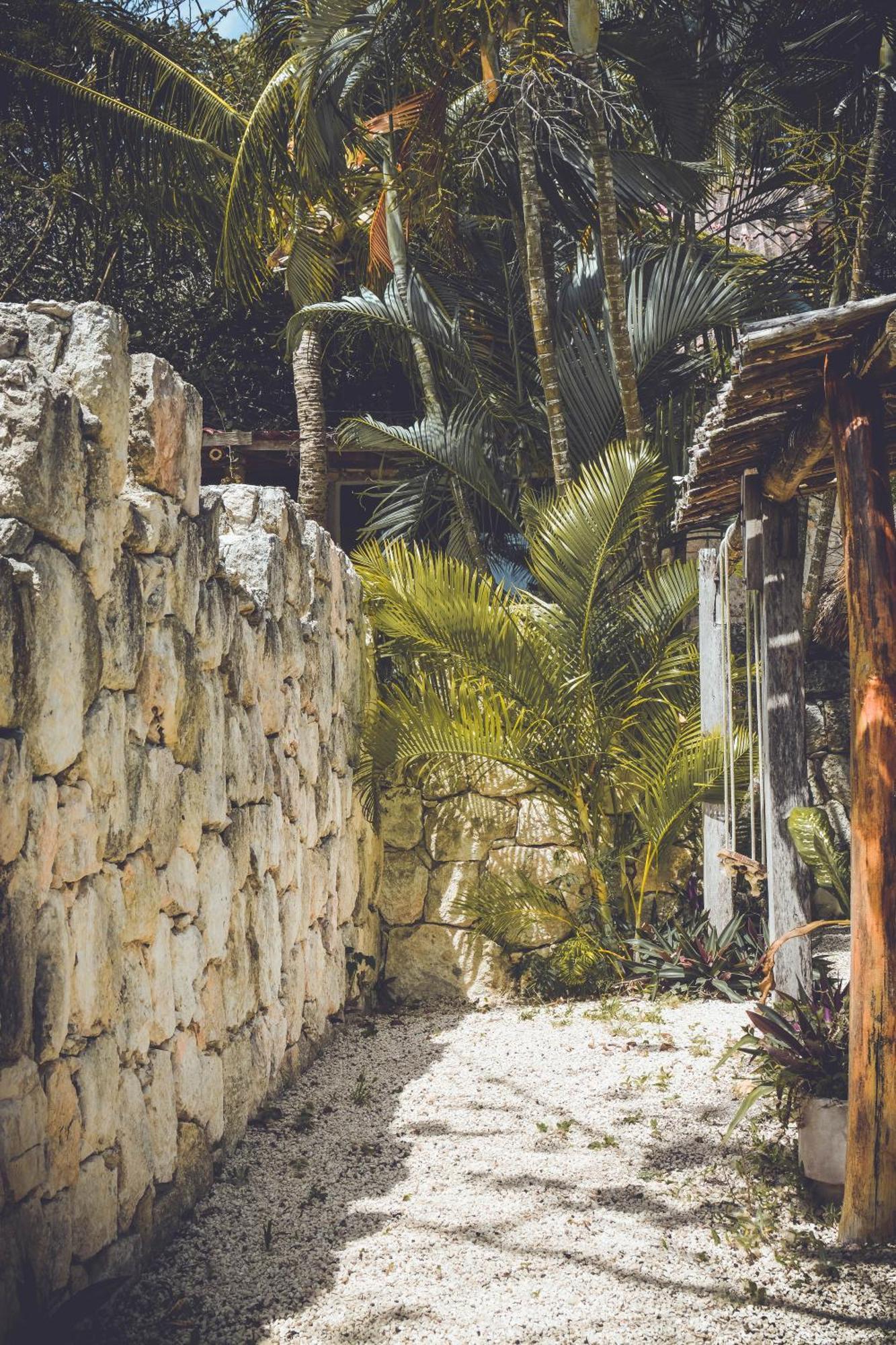 Tortuga Bacalar Bed & Breakfast Exterior photo